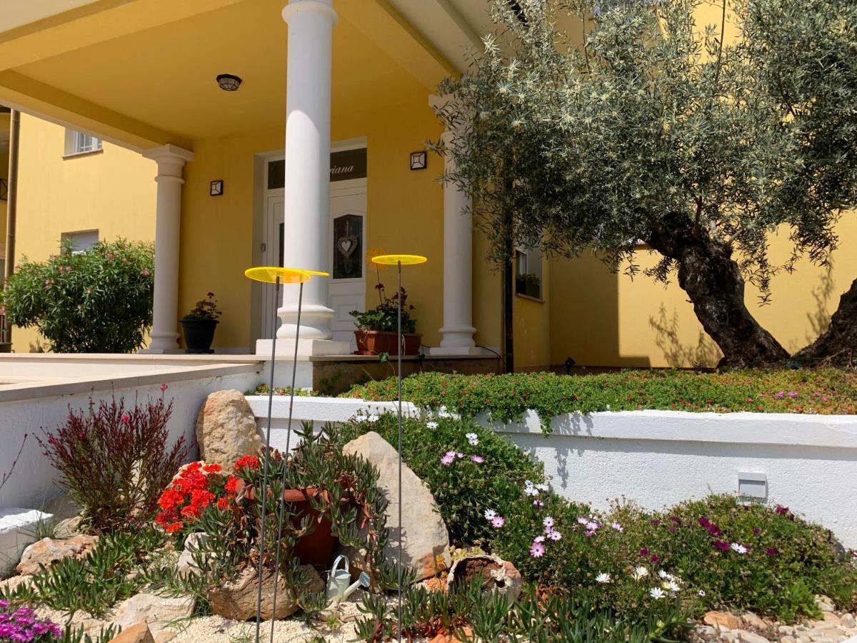 Villa Istriana Ližnjan 外观 照片