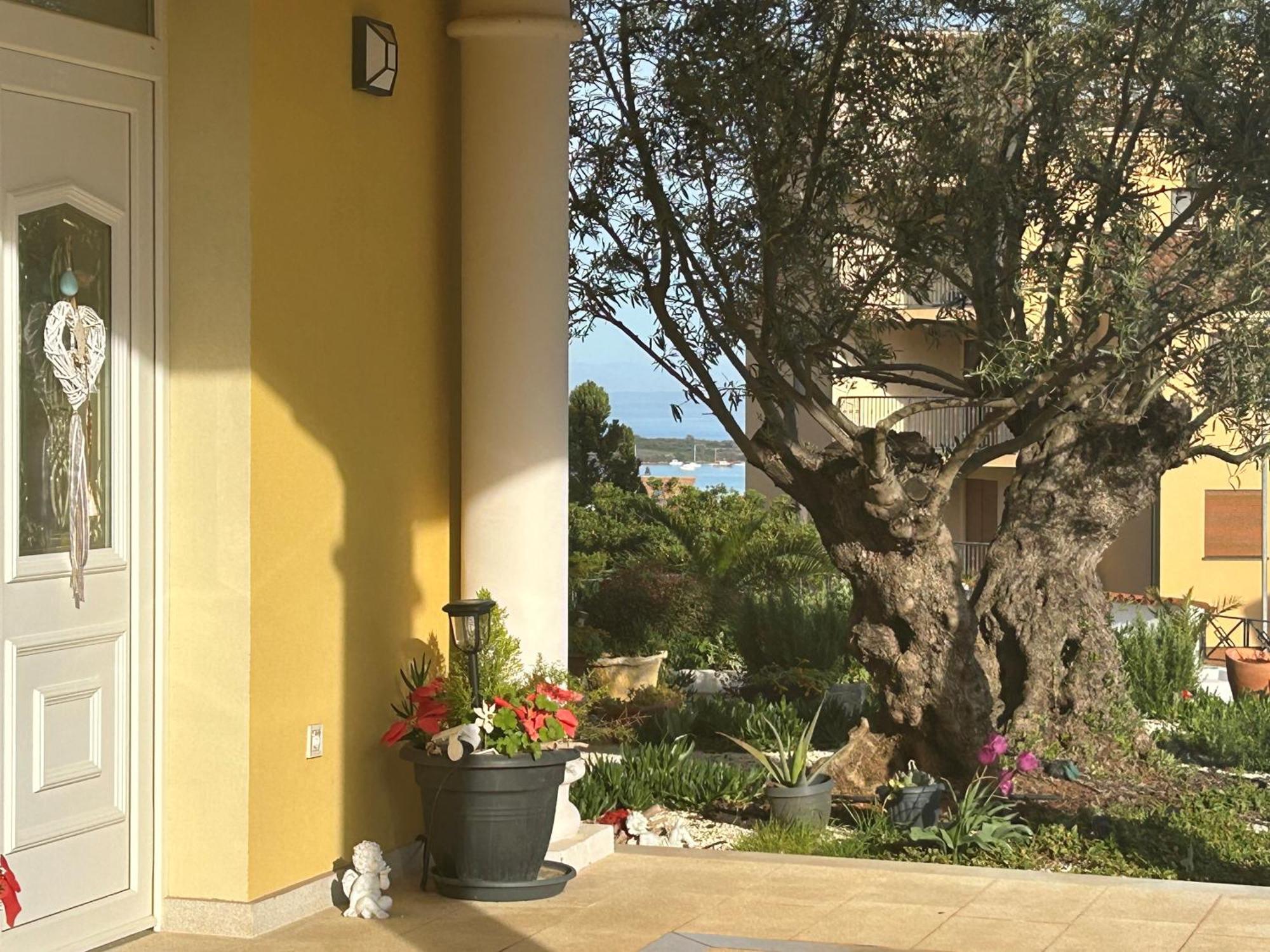 Villa Istriana Ližnjan 外观 照片